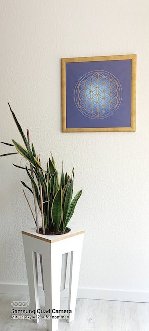 Die blaue Blume des Lebens als Poster mit goldenen Rahmen auf weißer Wand