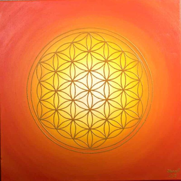 Orangina, 50 x 50 cm