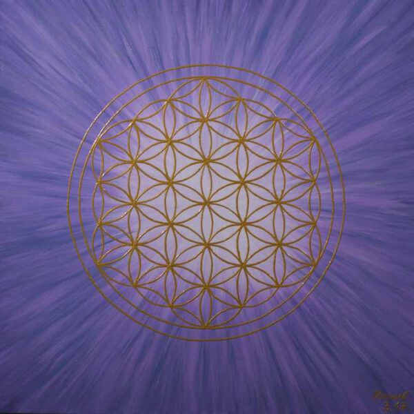 Strahlenblume Lavendel, 40 x 40 cm