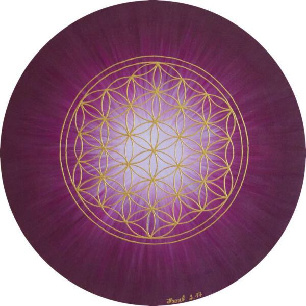 Strahlenblume Bordeaux, rund 50 cm