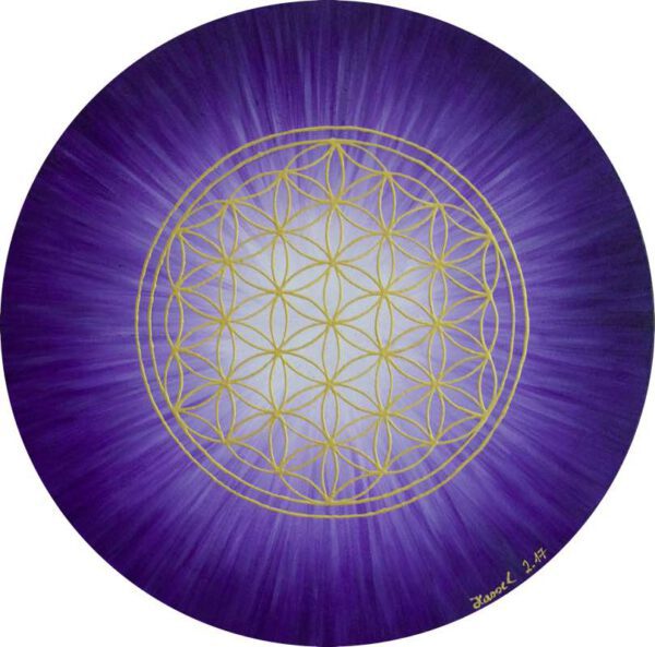 Strahlenblume Violett, rund 50 cm
