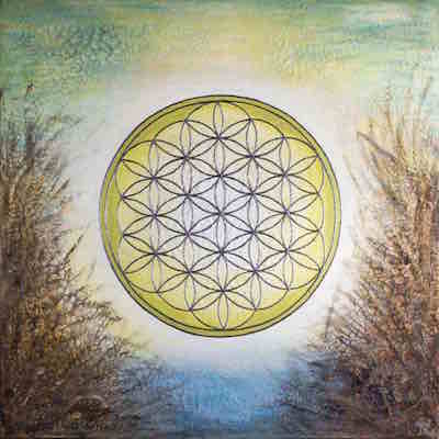 Blume des Lebens: Un jour dans les dunes Blume des Lebens: Un jour dans les dunes