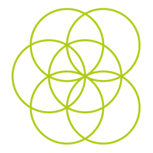 Heilige Geometrie - Blume des Lebens Kreis 6 Heilige Geometrie - Blume des Lebens Kreis 6