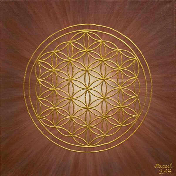 Strahlenblume Braun, 30 x 30 cm