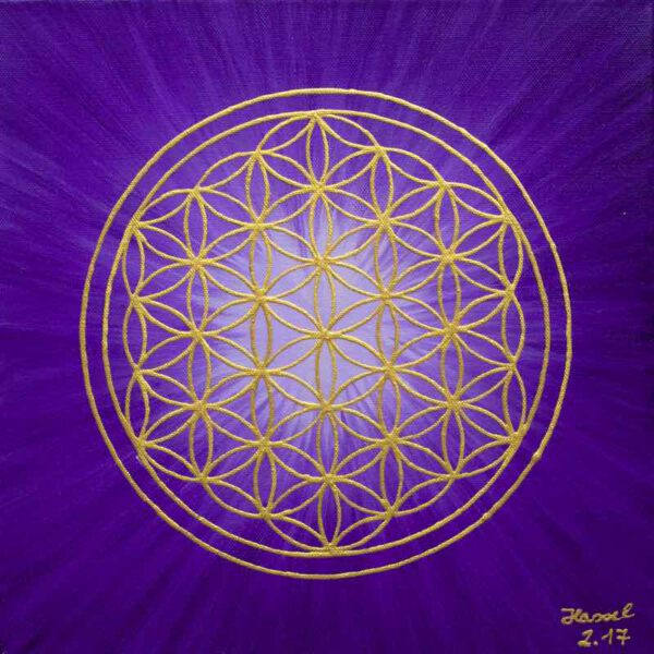 Strahlenblume Violett, 30 x 30 cm