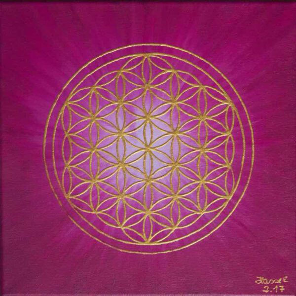 Strahlenblume Pink, 30 x 30 cm