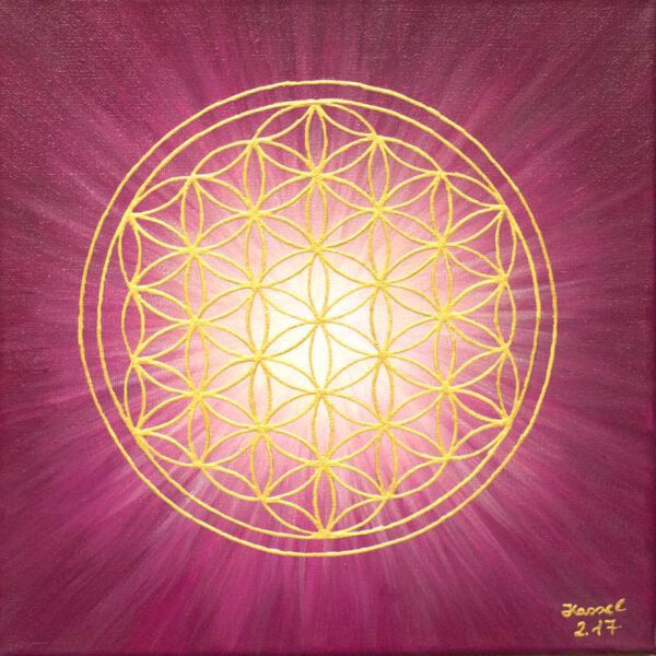 Strahlenblume Bordeaux, 30 x 30 cm