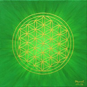 Strahlenblume Grün, 30 x 30 cm