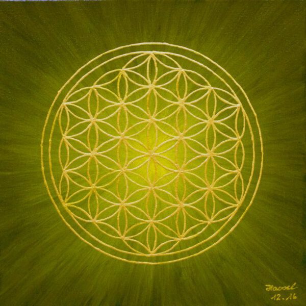 Strahlenblume Olivgrün, 30 x 30 cm