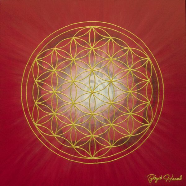 Magic Rose, 60 x 60 cm