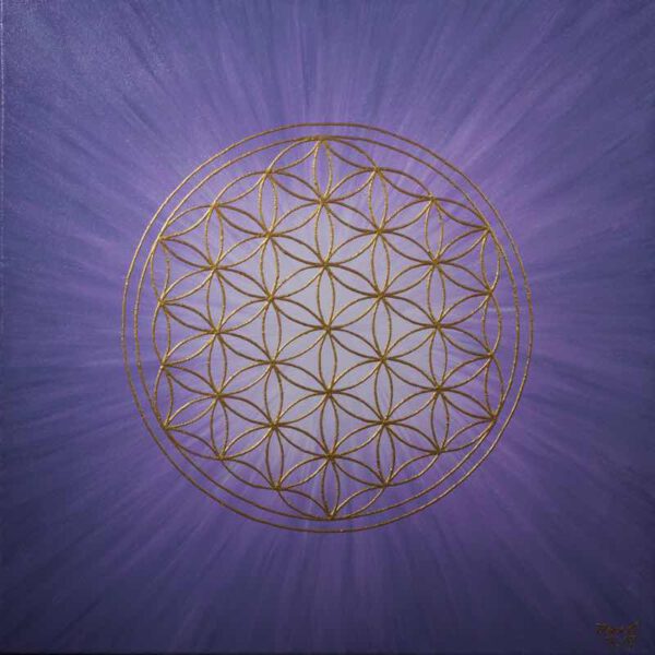 Strahlenblume Lavendel, 50 x 50 cm
