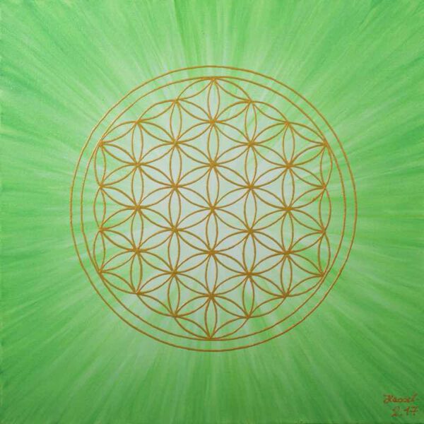 Strahlenblume Grün-Weiß, 40 x 40 cm