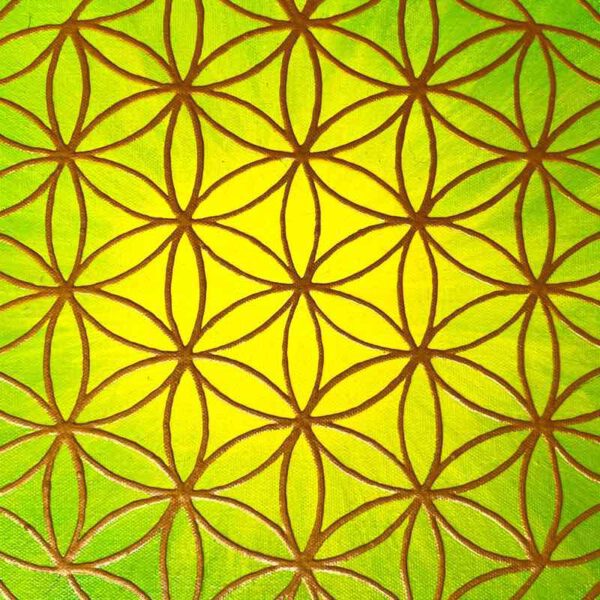 Strahlenblume Grün-Gelb, 50 x 50 cm – Bild 4