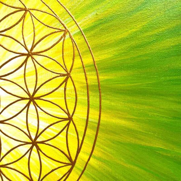 Strahlenblume Grün-Gelb-Weiß, 50 x 50 cm – Bild 2