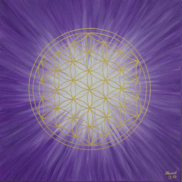 Strahlenblume Violett, 50 x 50 cm