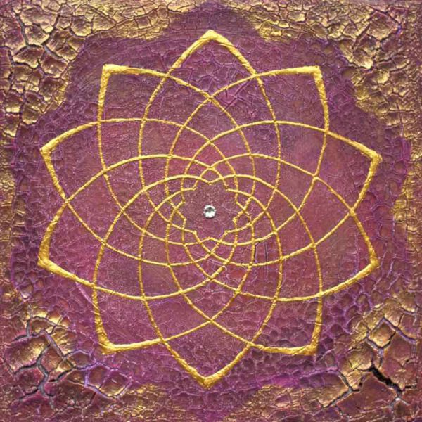 Venusblume Harmonie, 30 x 30 cm