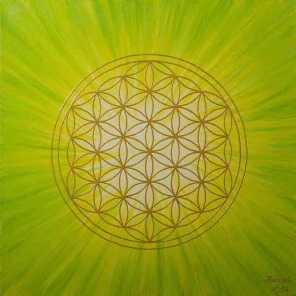 Strahlenblume Grün-Gelb, 40 x 40 cm