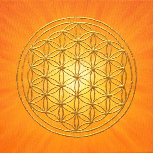 Strahlenblume Orange-Gelb, 20 x 20 cm