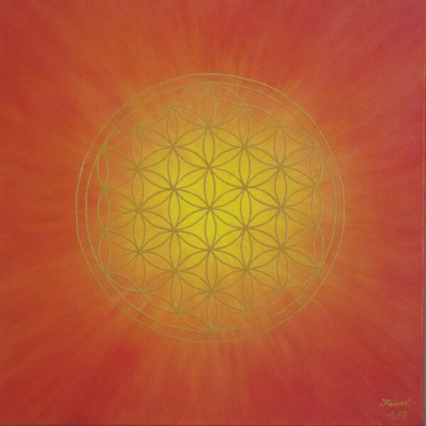 Strahlenblume Rot-Gelb, 50 x 50 cm