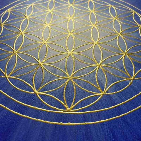 blaue strahlenblume details