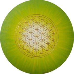 Strahlenblume Grün-Gelb, rund 50 cm