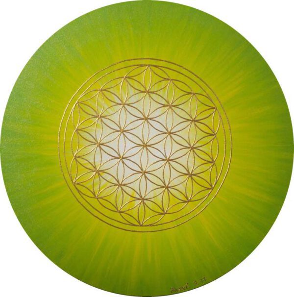 Strahlenblume Grün-Gelb, rund 50 cm