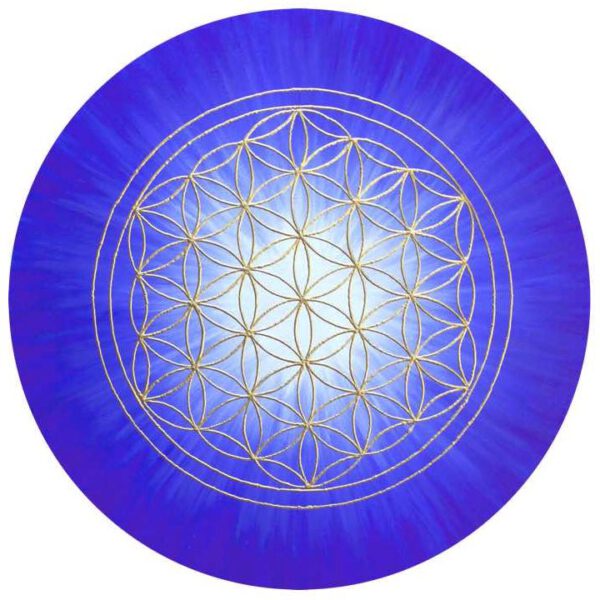 Strahlenblume Blau, rund 50 cm