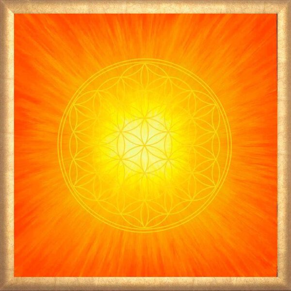 Strahlenblume Orange (Poster) – Bild 2
