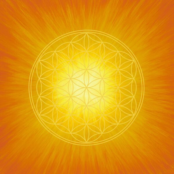 Strahlenblume Orange (Leinwanddruck)