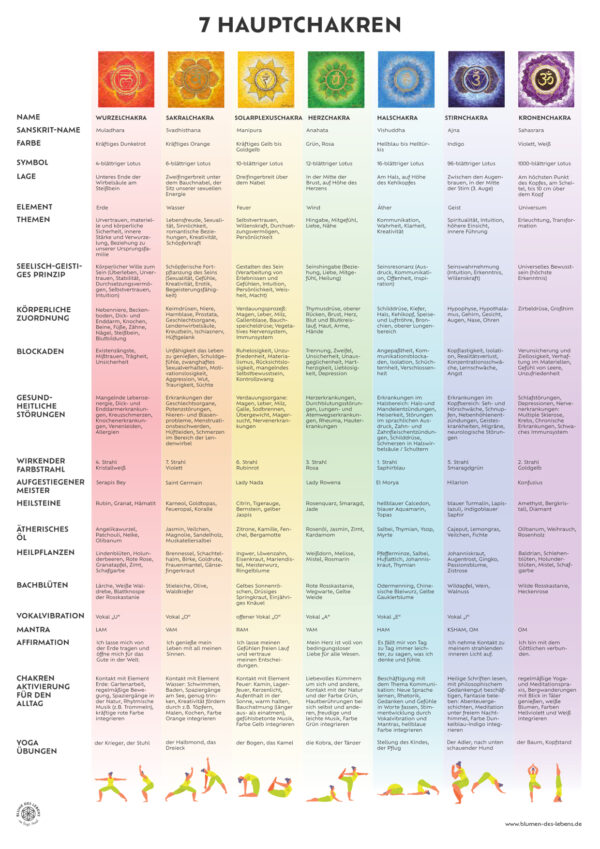 chakren infografik die sieben chakra energiezentren im ueberblick