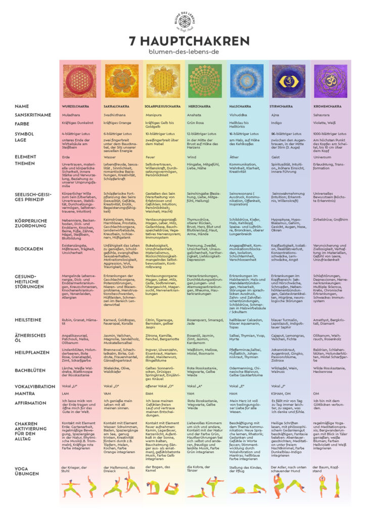 chakren infografik die sieben chakra energiezentren im ueberblick
