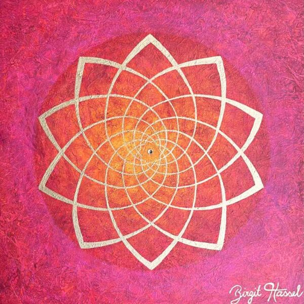 bild venusblume tanz der venus rot pink gold x cm