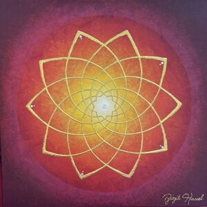 bild venusblume power of venus x cm rot gelb pink