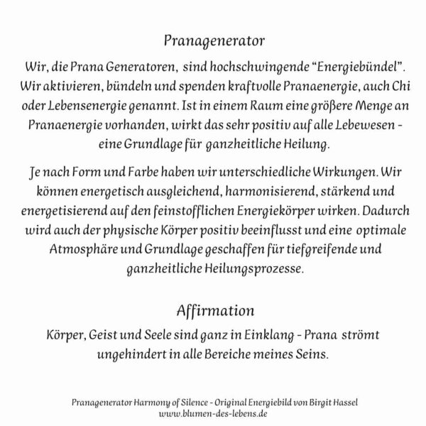 Pranagenerator Rückseite