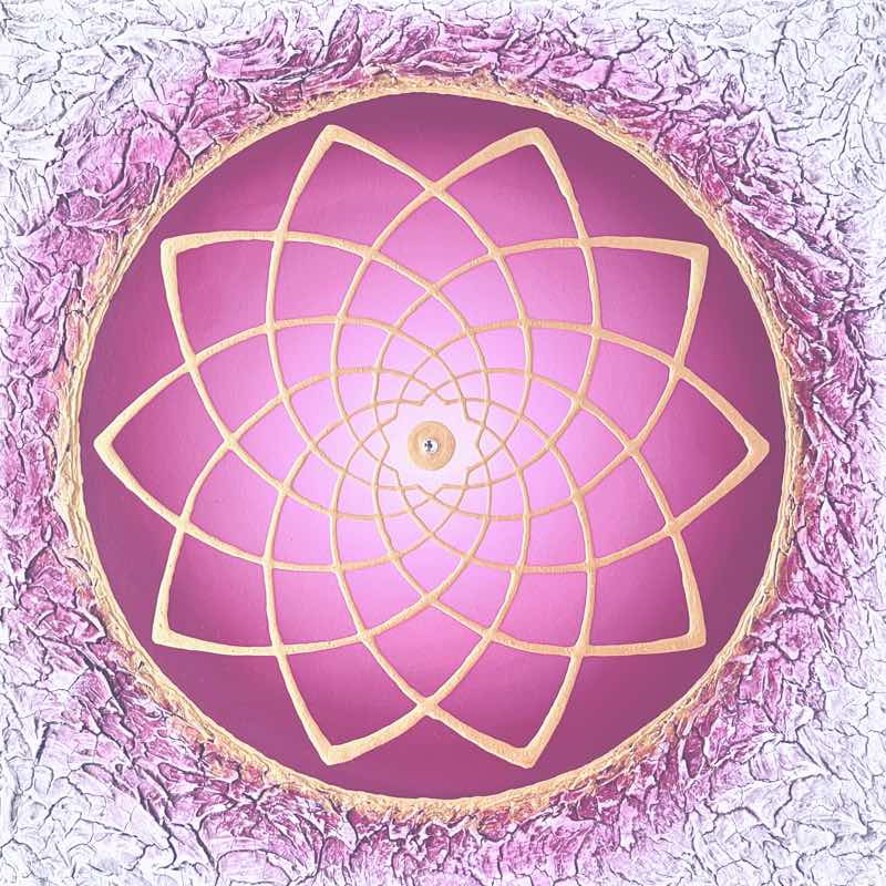 bild venusblume full of love cm weiss bordeaux gold