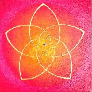 bild venusblume power of love gelb rot pink cm