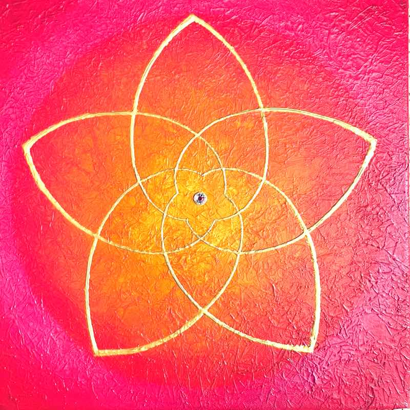 bild venusblume power of love gelb rot pink cm