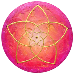 bild venusblume verbunden im licht rund cm orange pink gold hd